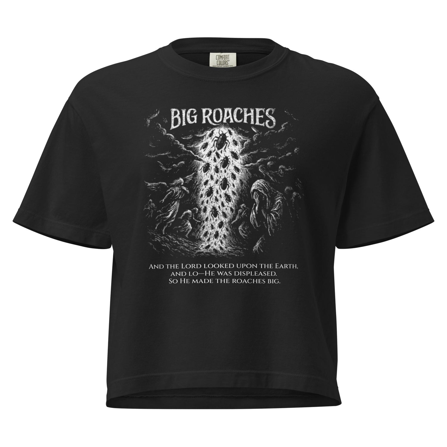 Let there be Roaches